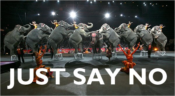 animals in circuses pros and cons